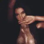 Slyfox 2
